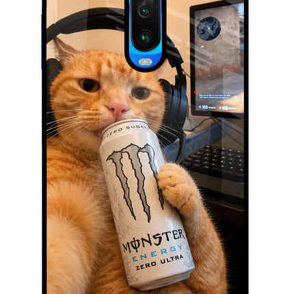 Gamer Cat Energy Poco X2 Glass Case Back Cover by Casekaro
