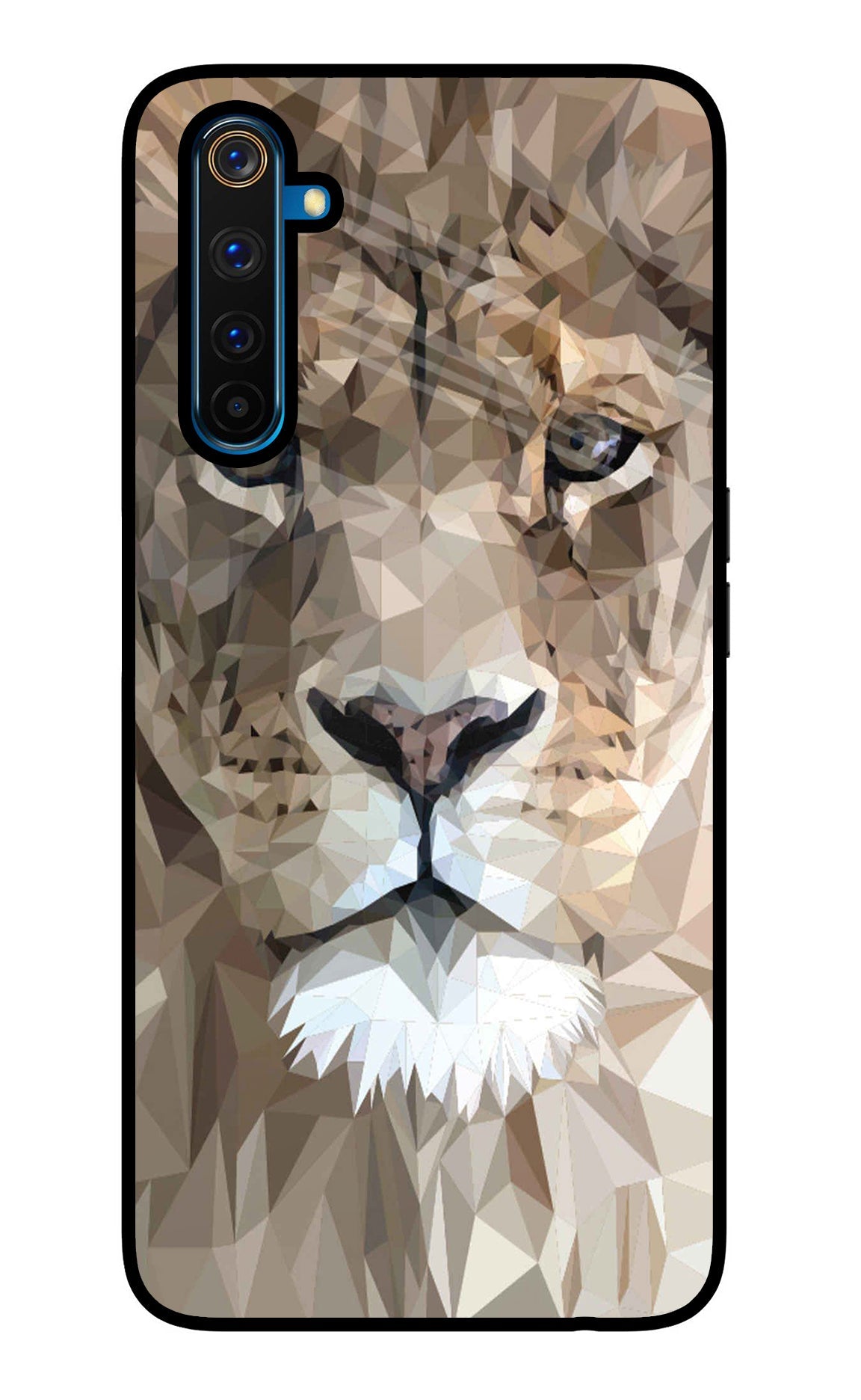 Lion Art Realme 6 Pro Glass Case