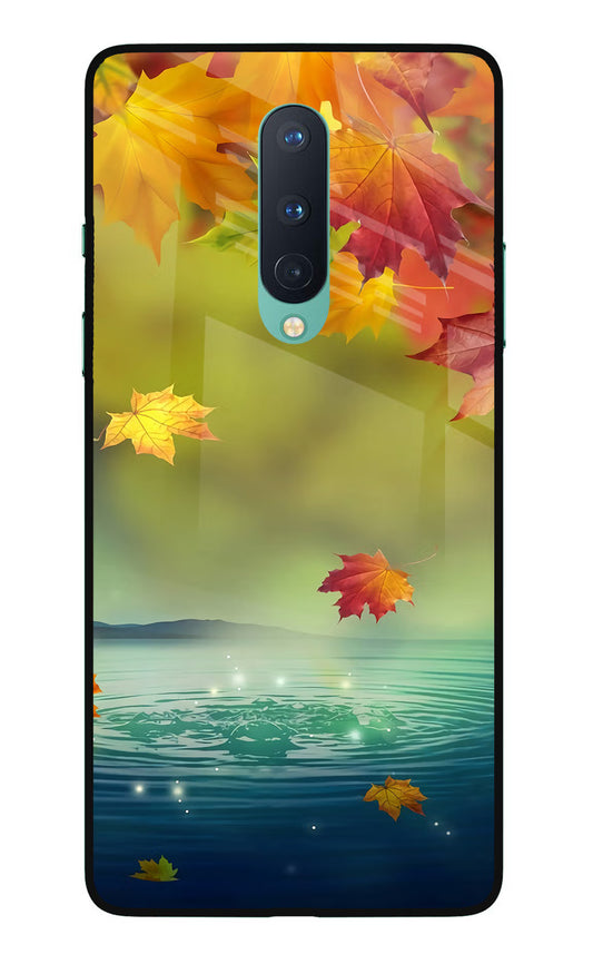Flowers Oneplus 8 Glass Case
