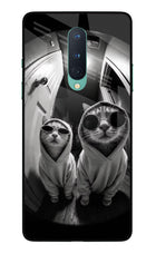 Hood Cats Oneplus 8 Glass Case