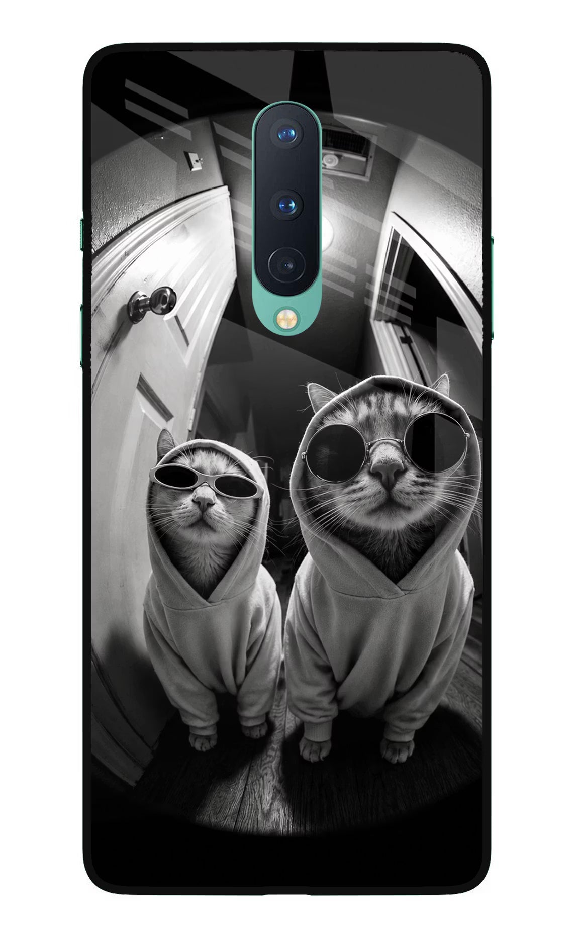 Hood Cats Oneplus 8 Glass Case