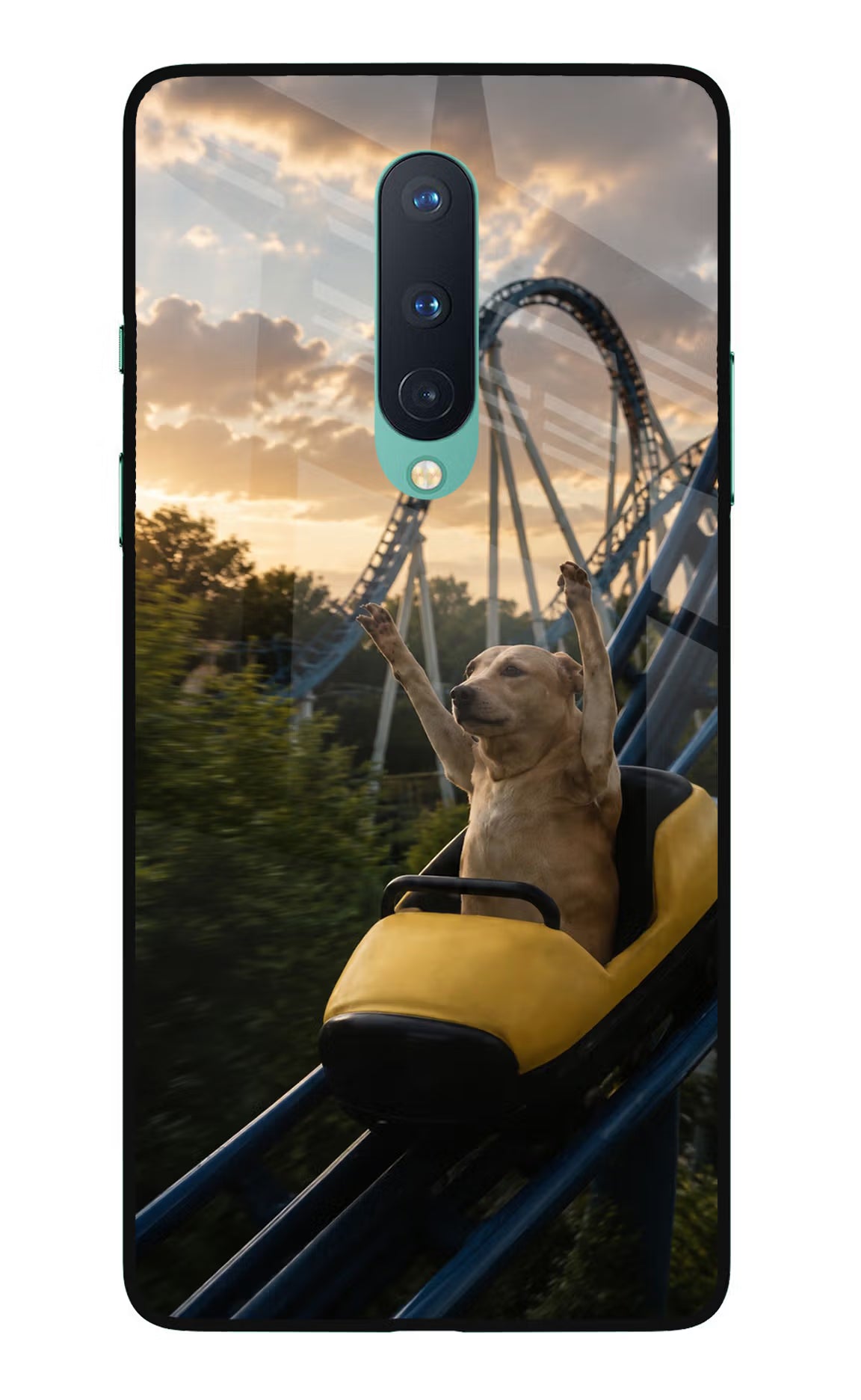 Rollercoaster Dog Oneplus 8 Glass Case
