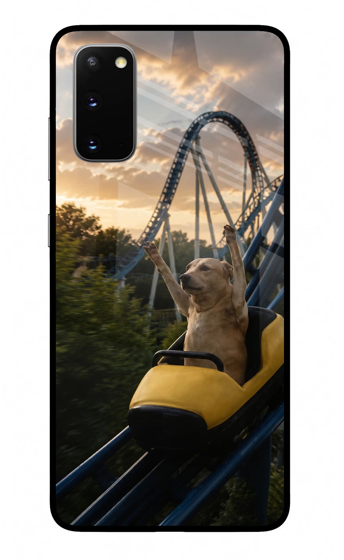 Rollercoaster Dog Samsung S20 Glass Case