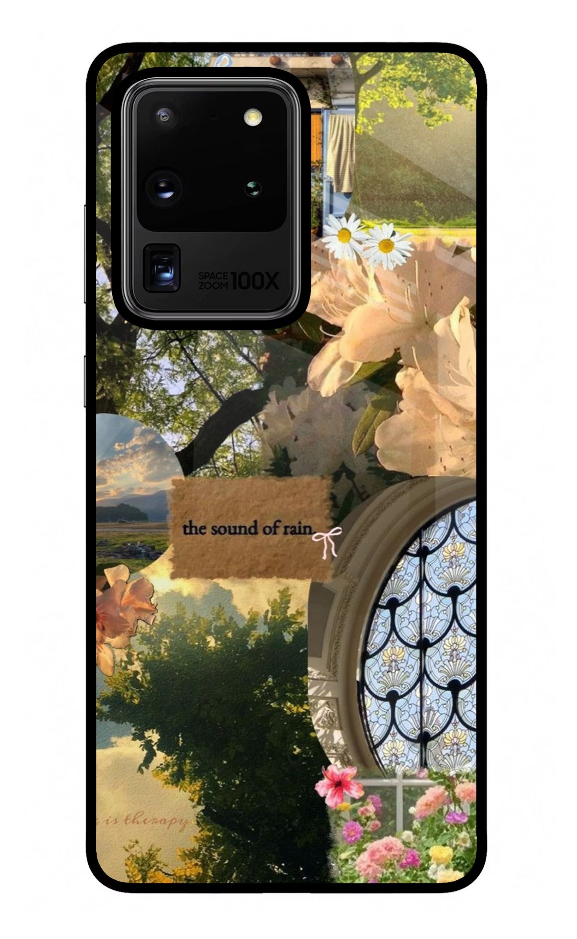 Rain Samsung S20 Ultra Glass Case