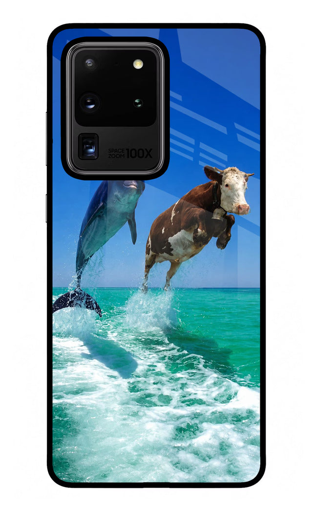Dolphin vs Cow Samsung S20 Ultra Glass Case