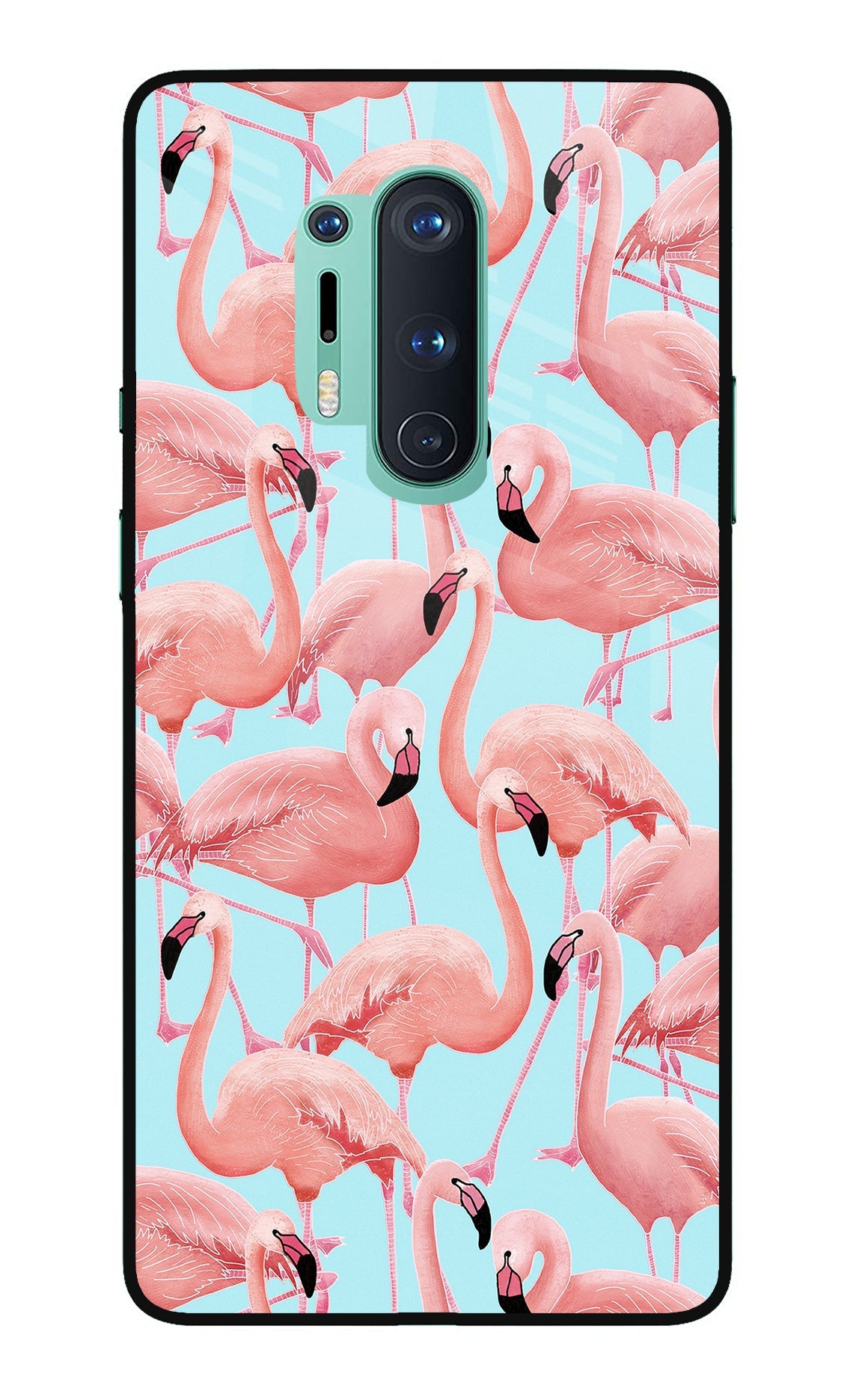 Flamboyance Oneplus 8 Pro Back Cover