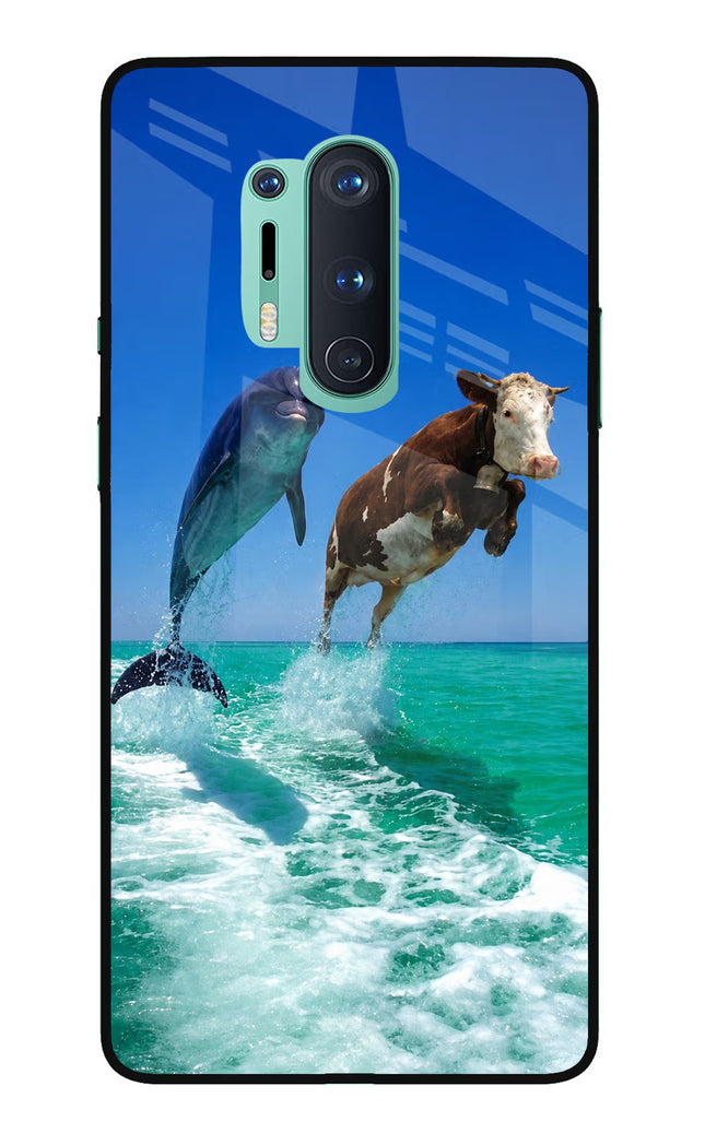 Dolphin vs Cow Oneplus 8 Pro Glass Case