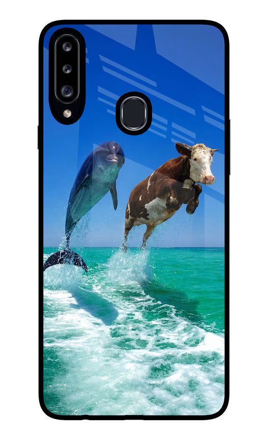 Dolphin vs Cow Samsung A20s Glass Case