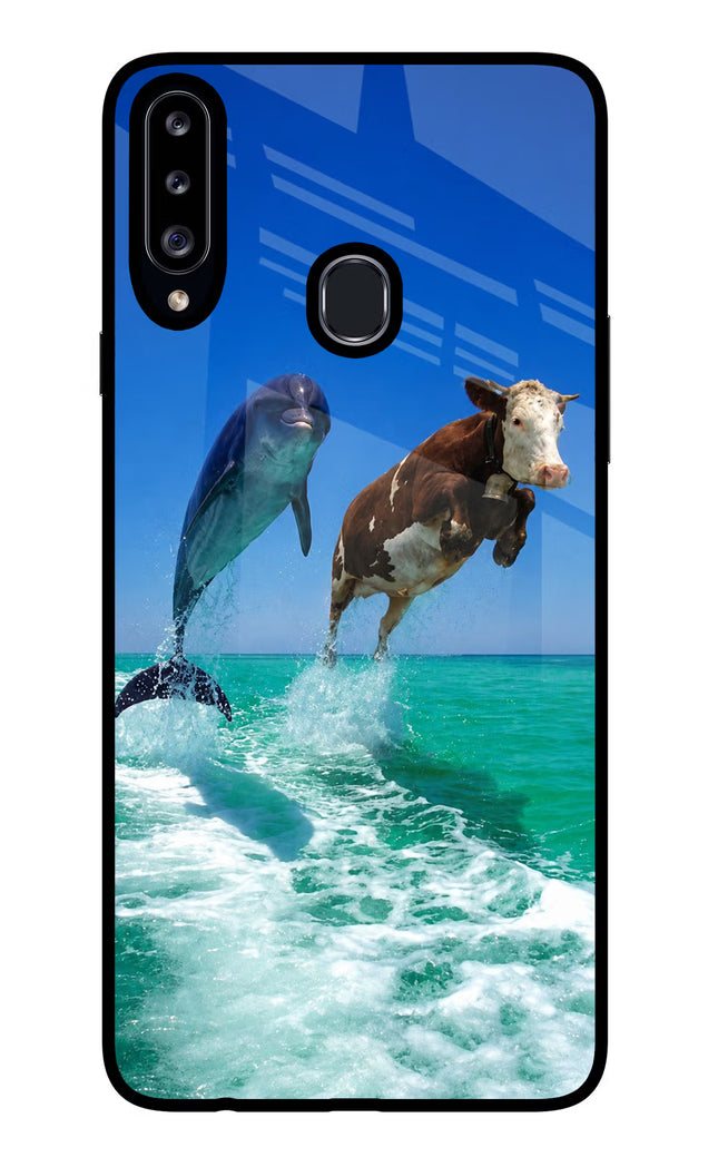 Dolphin vs Cow Samsung A20s Glass Case Back Cover by Casekaro