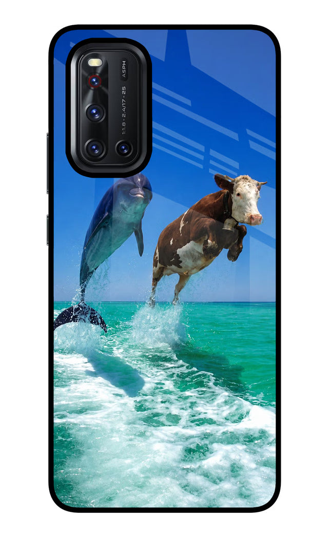 Dolphin vs Cow Vivo V19 Glass Case