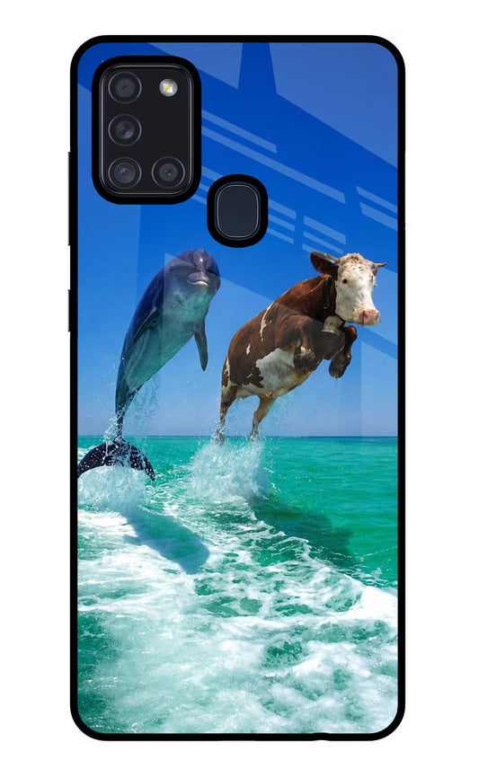 Dolphin vs Cow Samsung A21s Glass Case