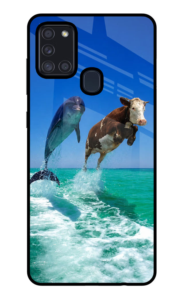 Dolphin vs Cow Samsung A21s Glass Case