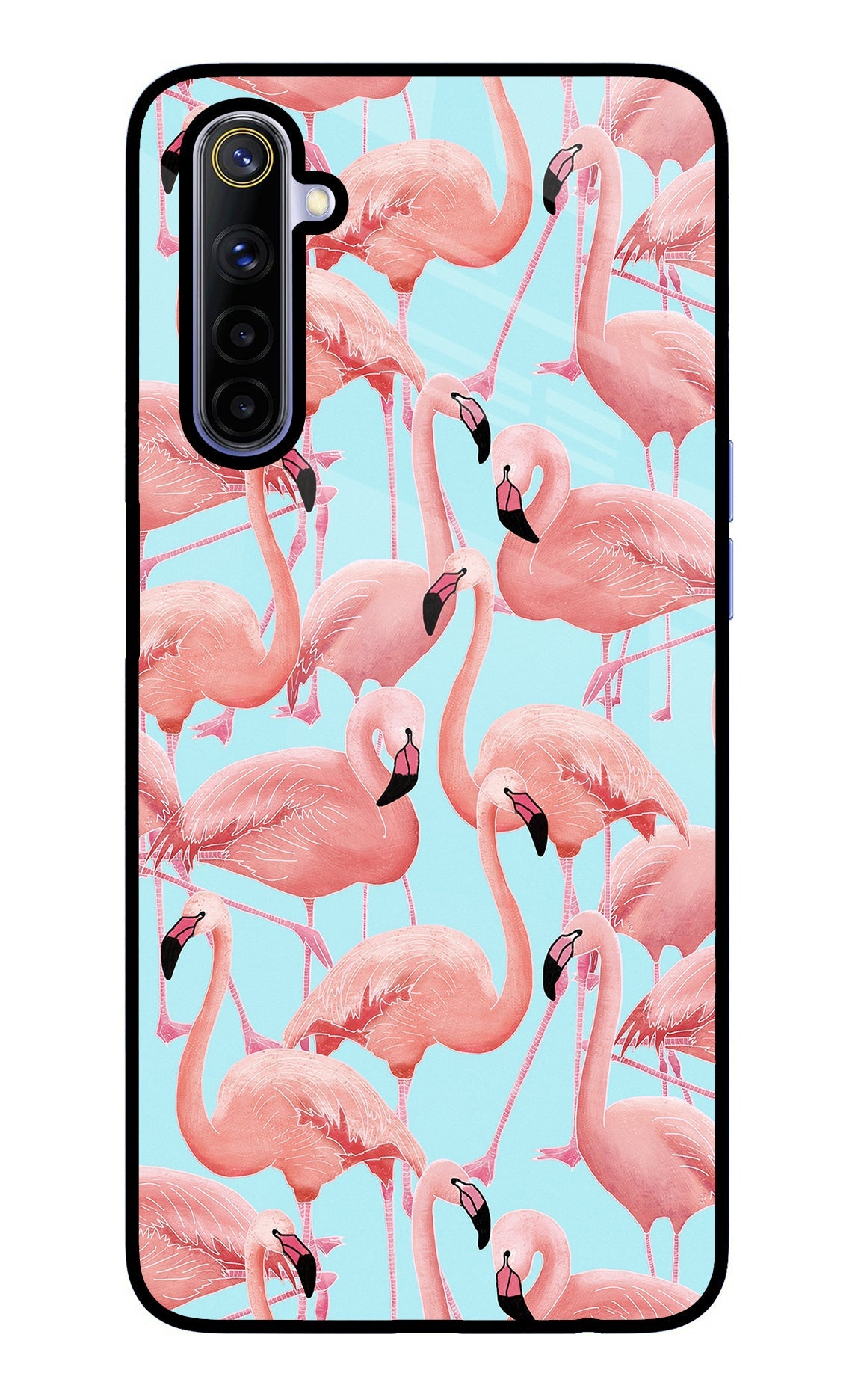 Flamboyance Realme 6/6i Glass Case