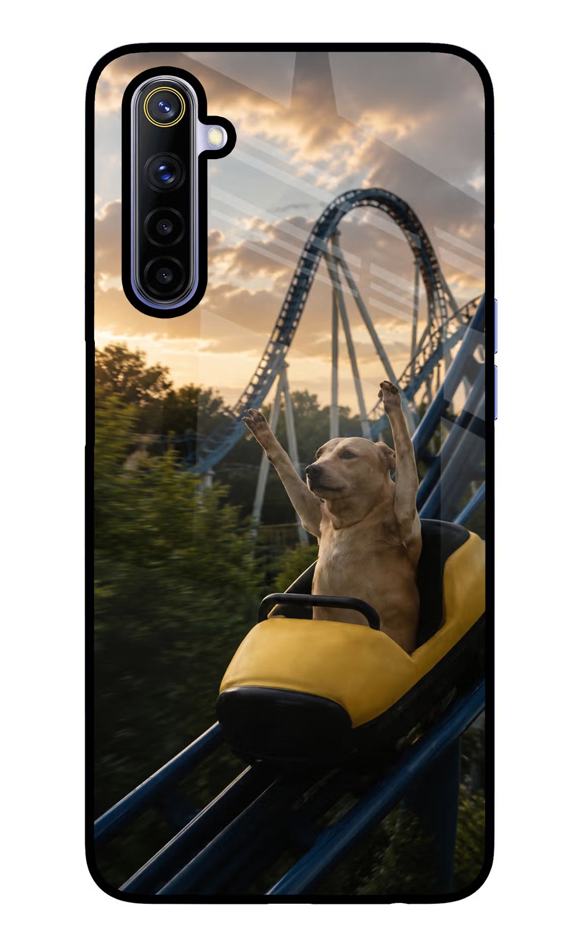Rollercoaster Dog Realme 6/6i Glass Case