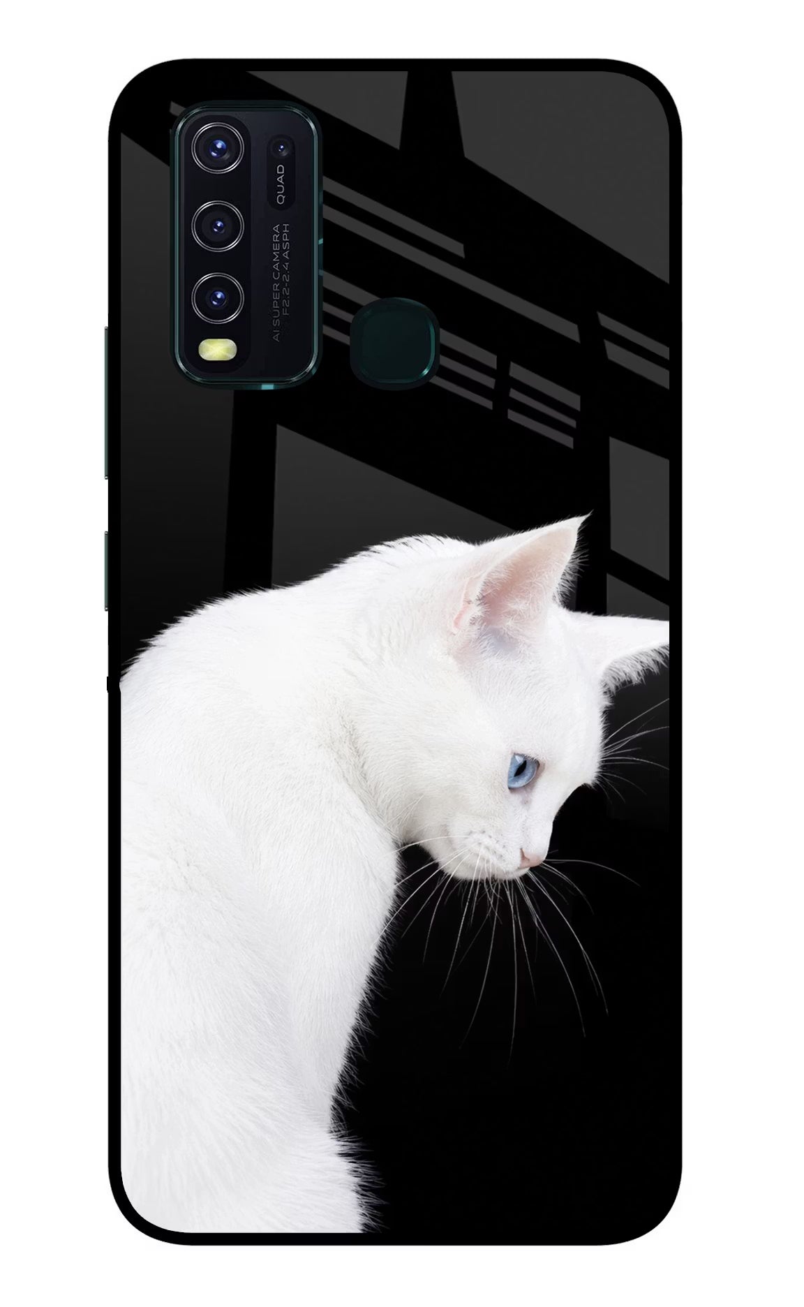 Snow Gaze Vivo Y30/Y50 Glass Case