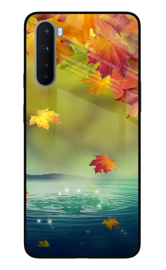 Flowers Oneplus Nord Glass Case