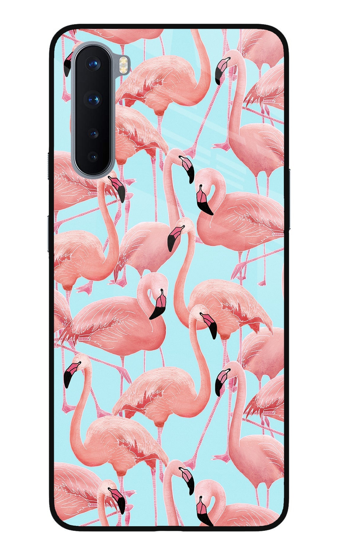 Flamboyance Oneplus Nord Back Cover