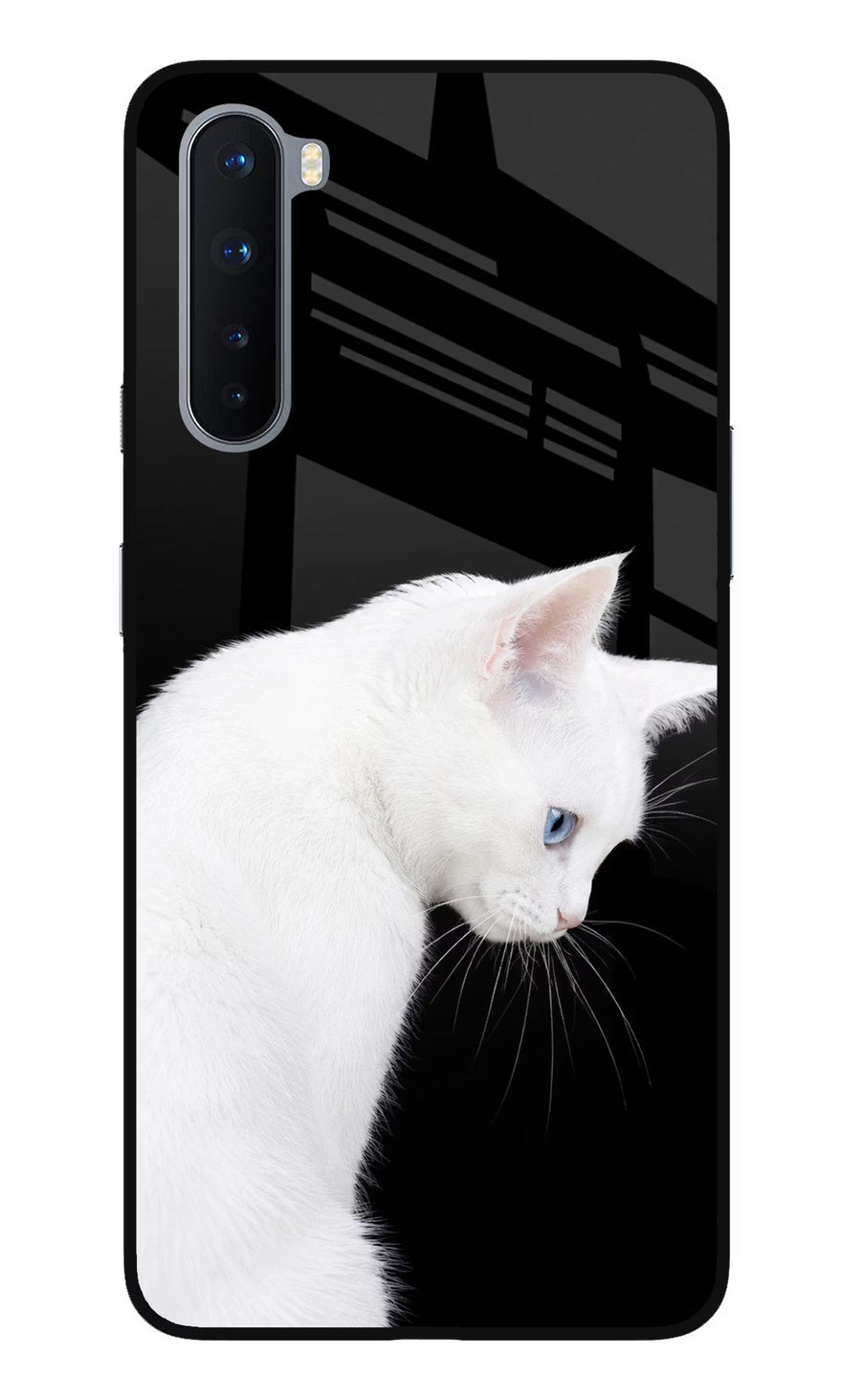 Snow Gaze Oneplus Nord Back Cover, Glass case