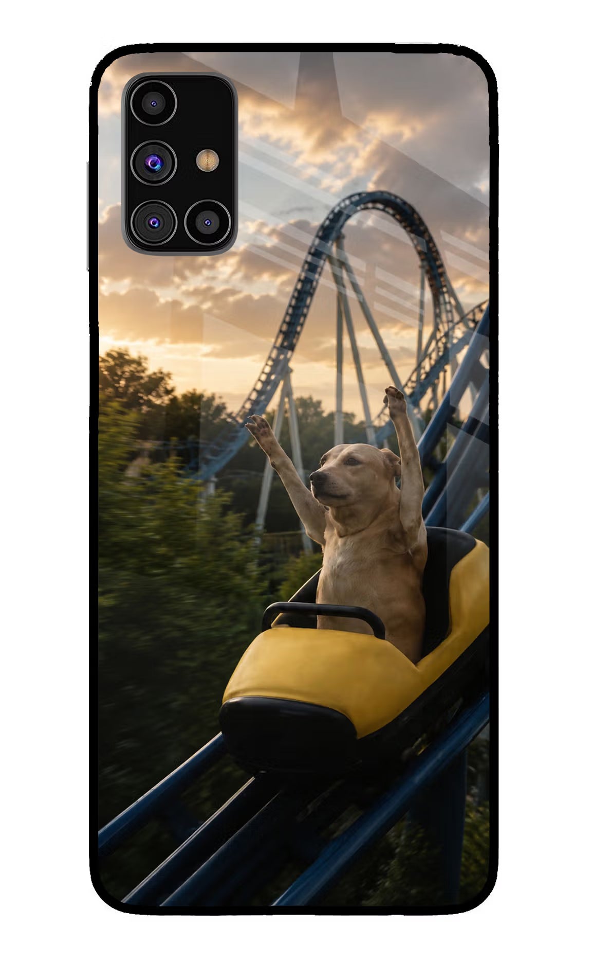 Rollercoaster Dog Samsung M31s Glass Case