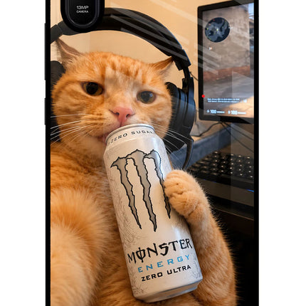Gamer Cat Energy Redmi 9A/9i Glass Case