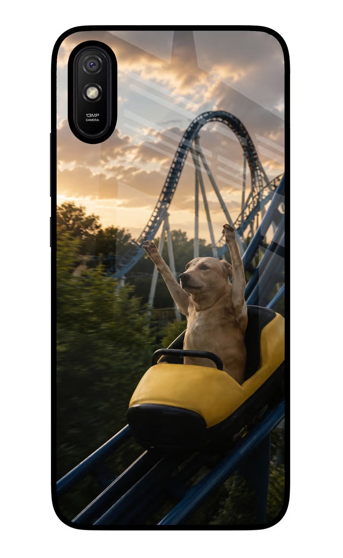 Rollercoaster Dog Redmi 9A/9i Glass Case