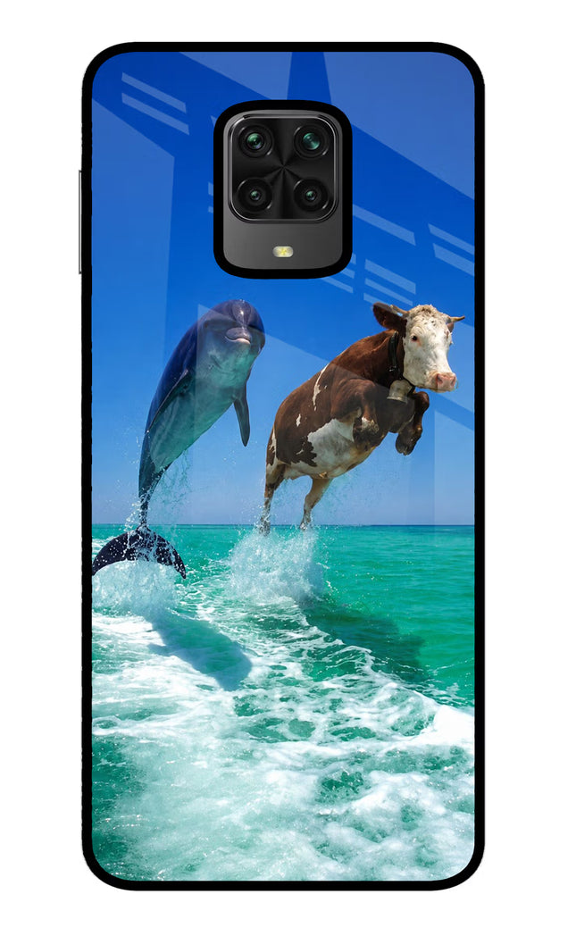 Dolphin vs Cow Poco M2 Pro Glass Case