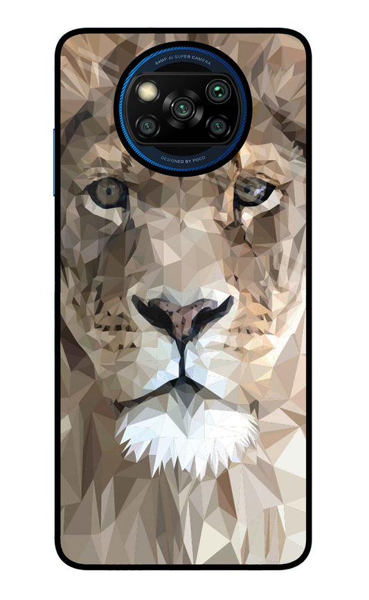 Lion Art Poco X3/X3 Pro Glass Case