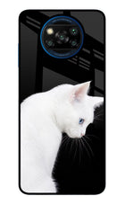 Snow Gaze Poco X3/X3 Pro Glass Case