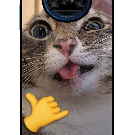 Silly Cat Call Poco X3/X3 Pro Glass Case