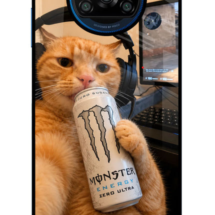 Gamer Cat Energy Poco X3/X3 Pro Glass Case