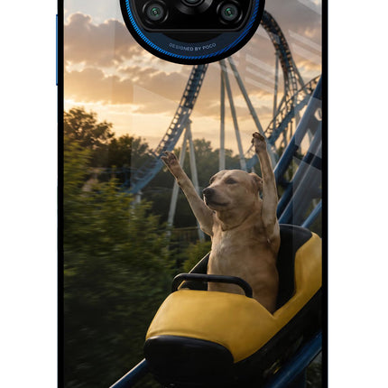 Rollercoaster Dog Poco X3/X3 Pro Glass Case