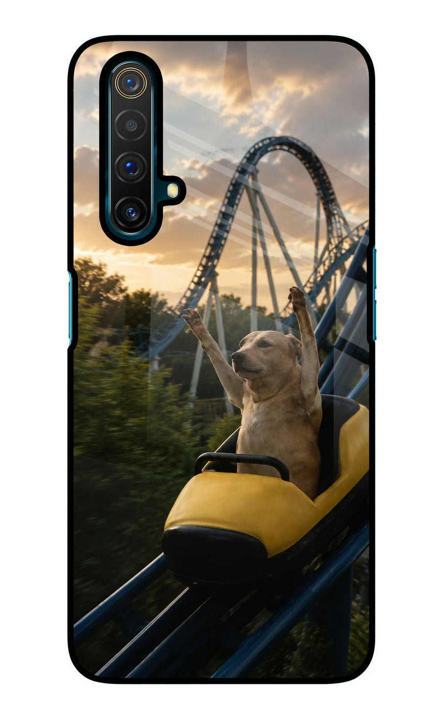 Rollercoaster Dog Realme X3 Back Cover, Glass case