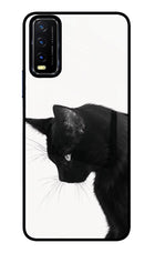 Shadow Gaze Vivo Y20/Y20i Glass Case