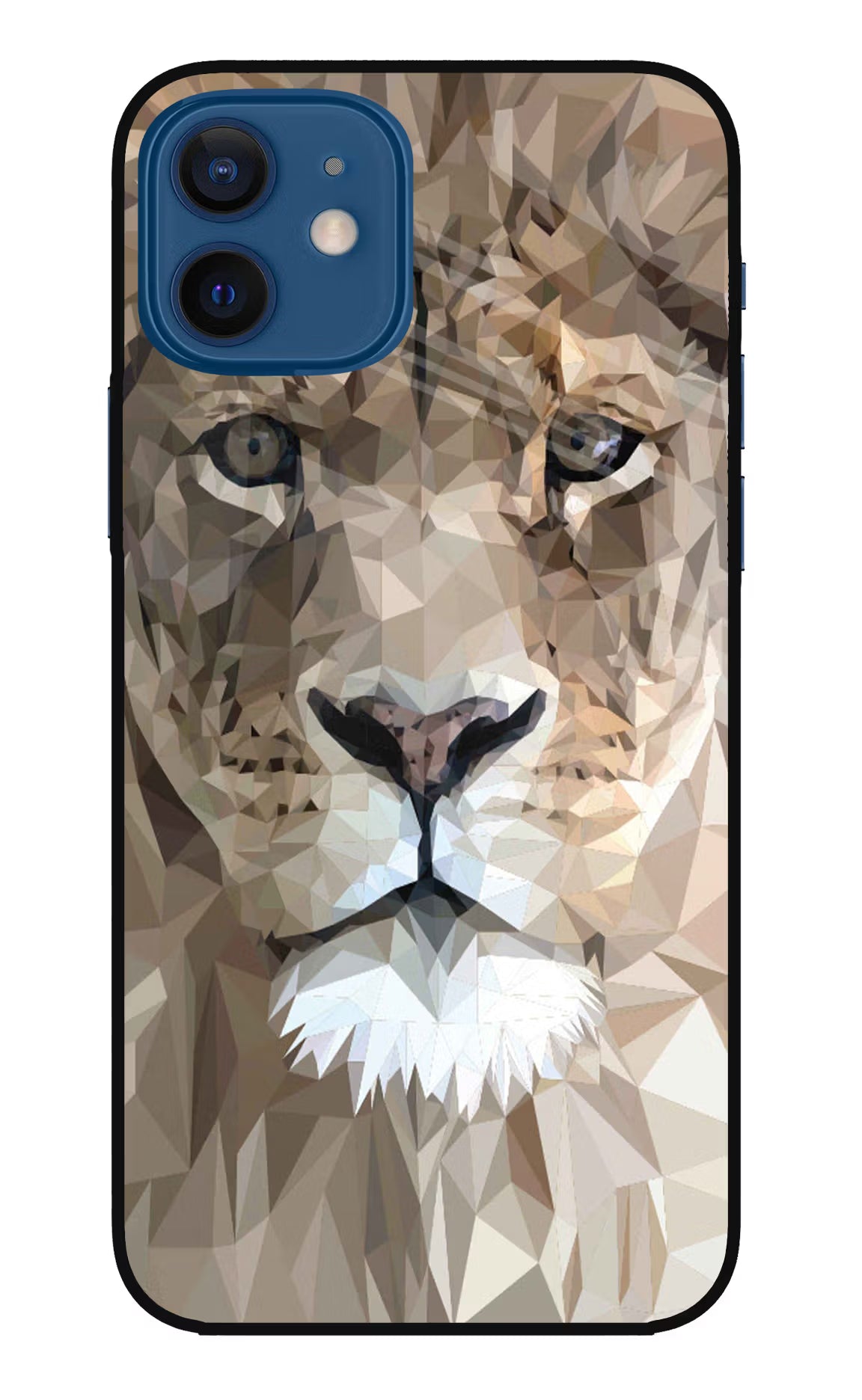 Lion Art iPhone 12 Glass Case Back Cover by Casekaro