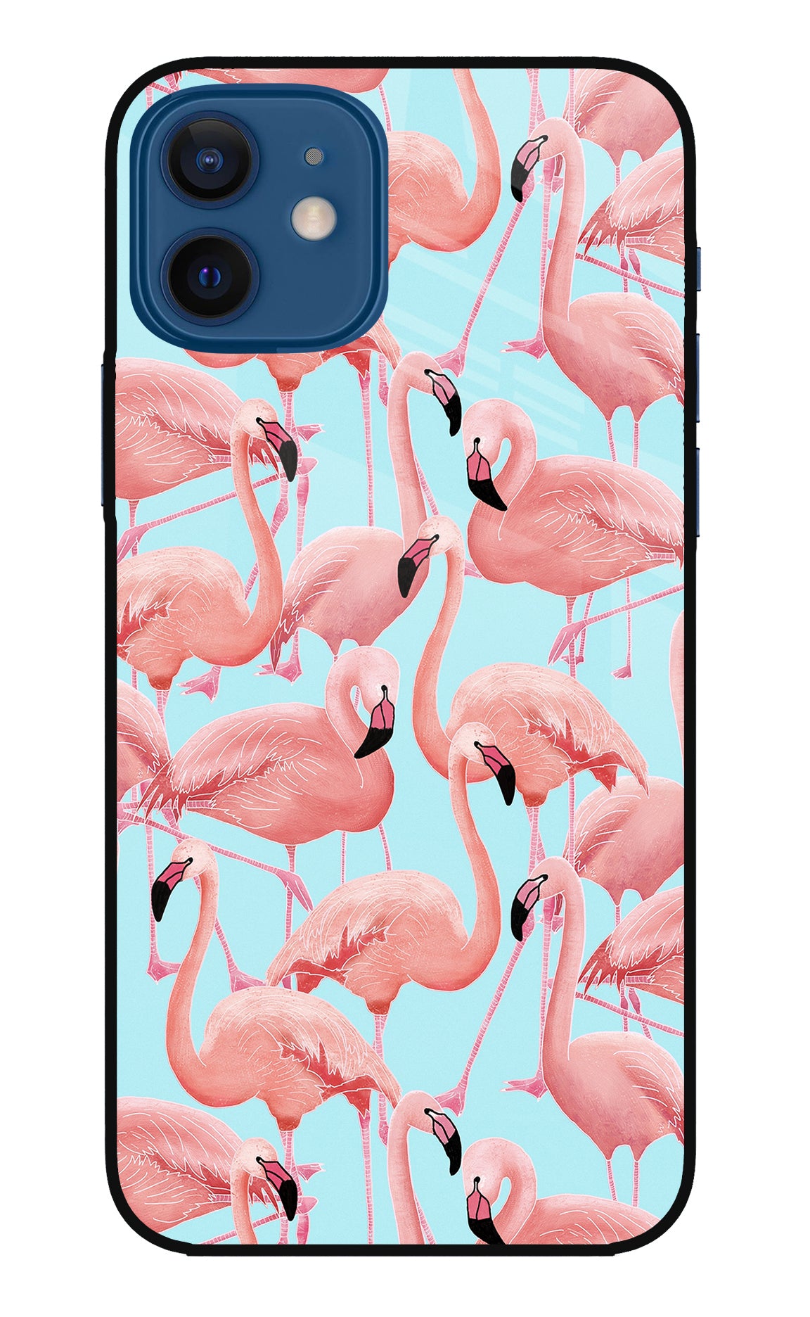 Flamboyance iPhone 12 Back Cover