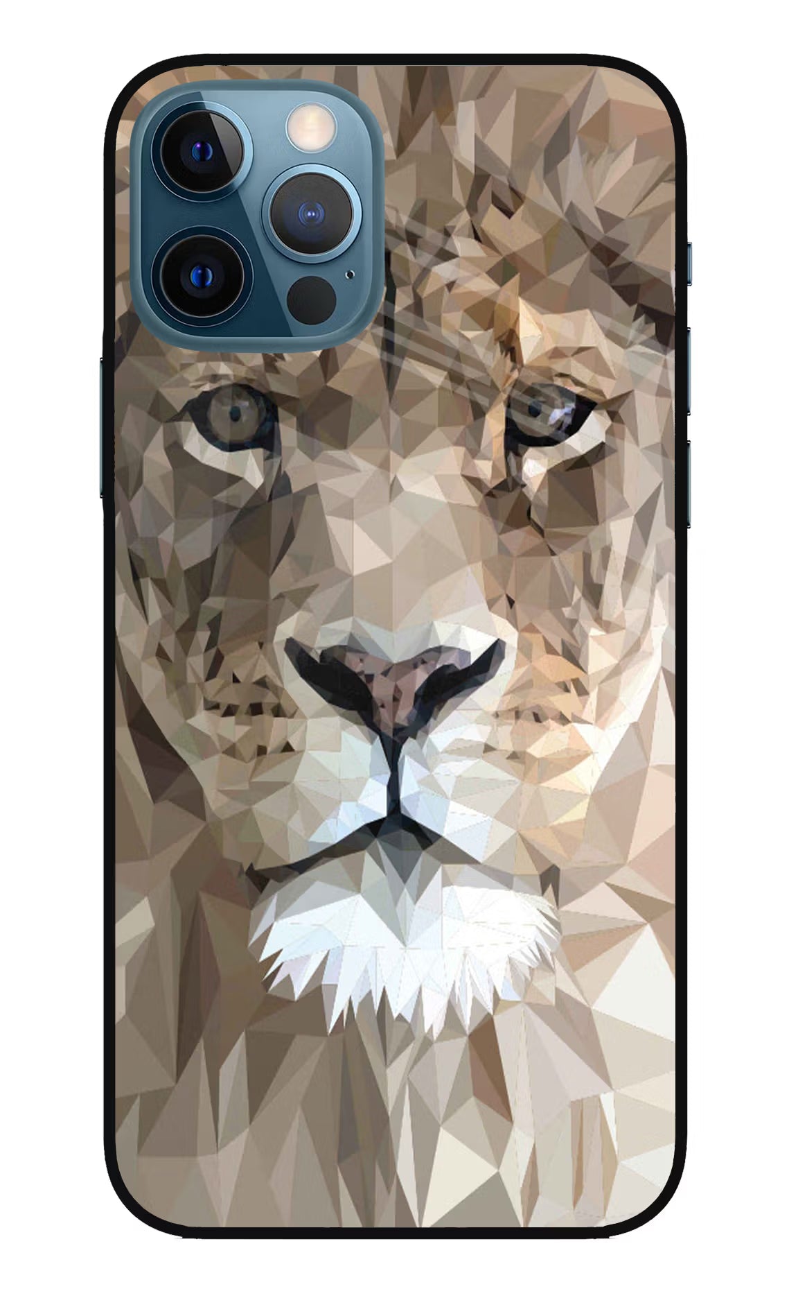 Lion Art iPhone 12 Pro Glass Case Back Cover by Casekaro