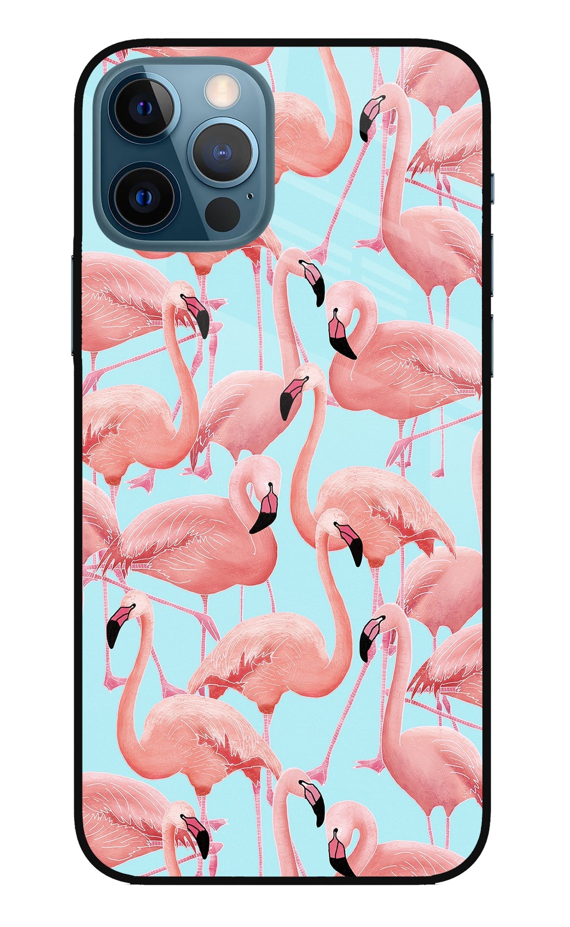 Flamboyance iPhone 12 Pro Back Cover