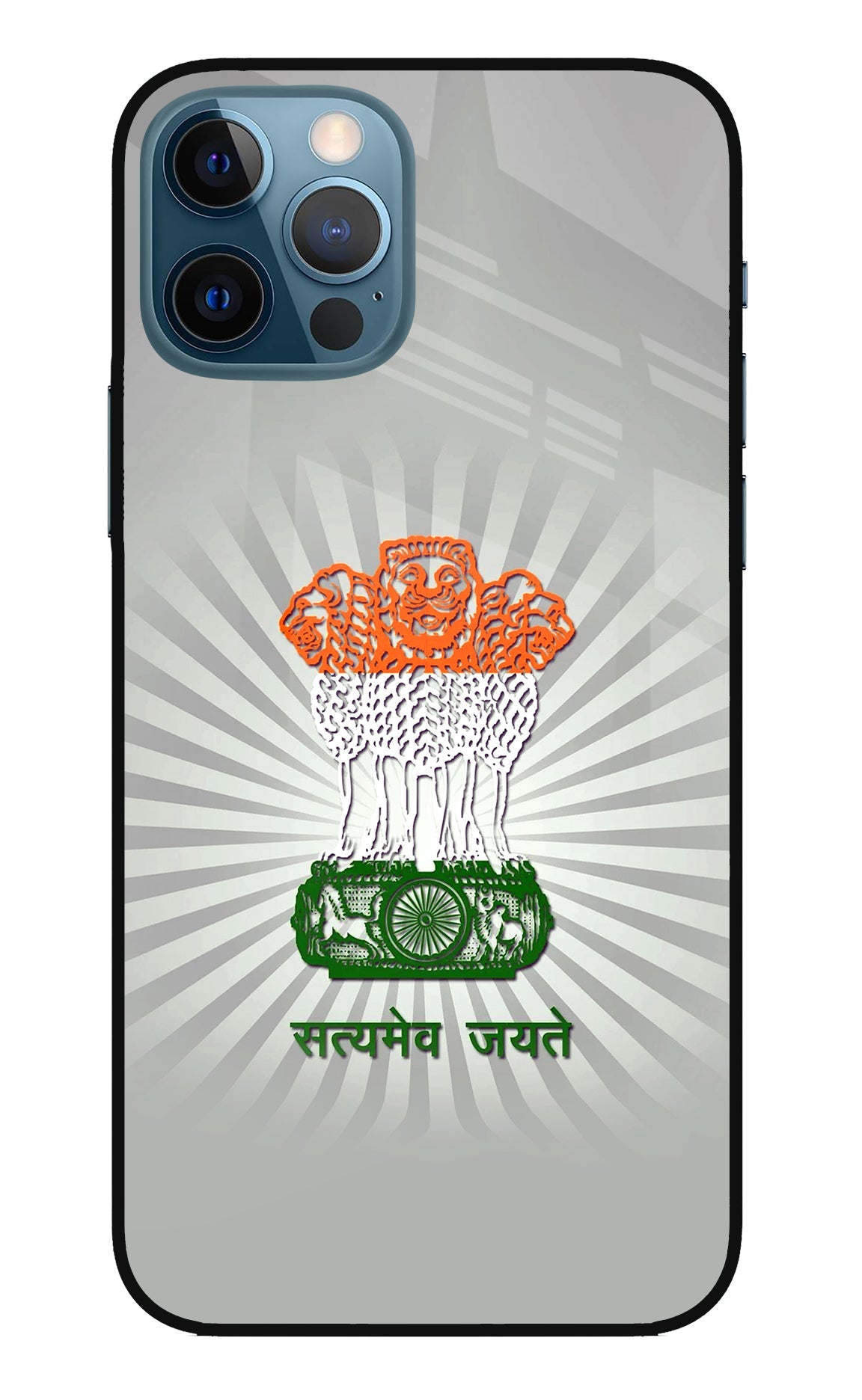 Satyamev Jayate Art iPhone 12 Pro Back Cover