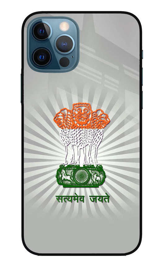 Satyamev Jayate Art iPhone 12 Pro Glass Case