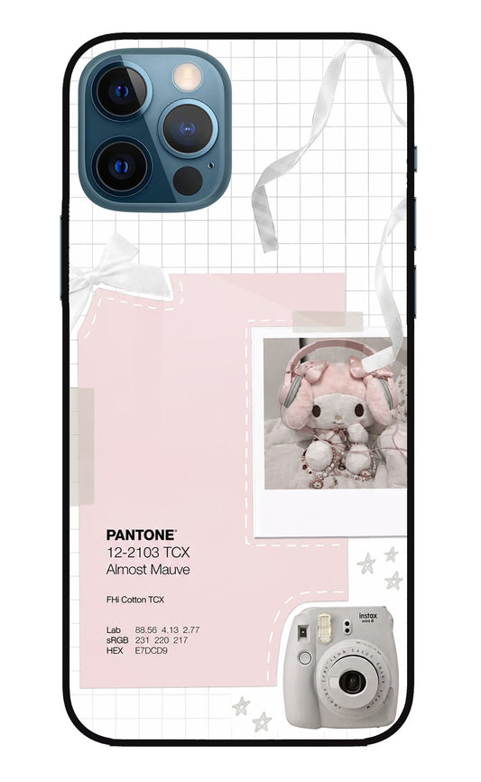 Pantone Asthetic iPhone 12 Pro Glass Case