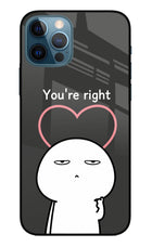 You're Right iPhone 12 Pro Glass Case