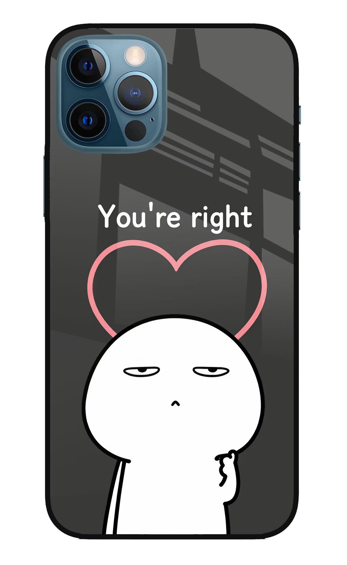 You're Right iPhone 12 Pro Glass Case