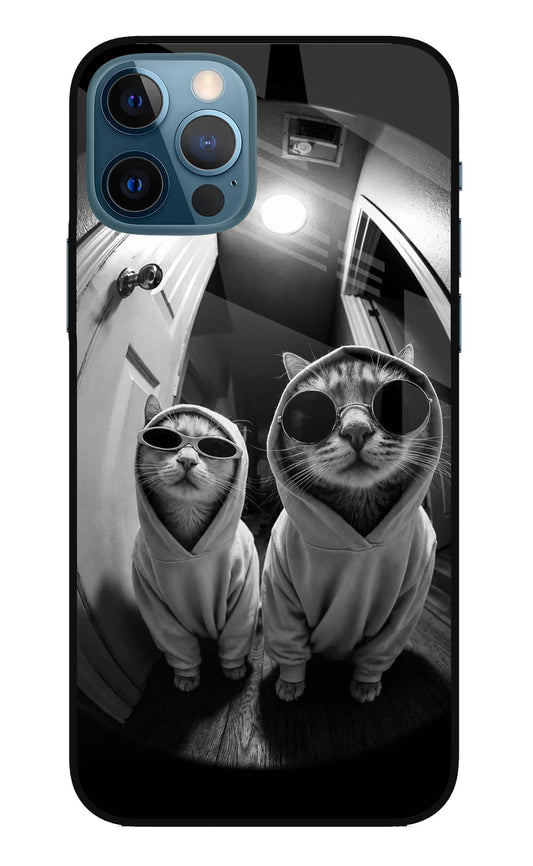 Hood Cats iPhone 12 Pro Glass Case