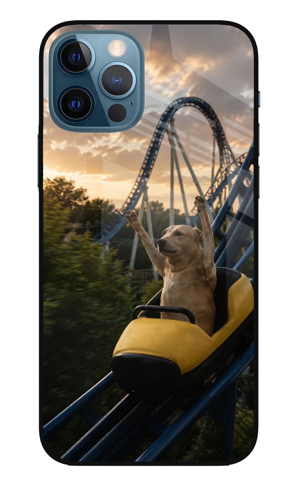 Rollercoaster Dog iPhone 12 Pro Glass Case