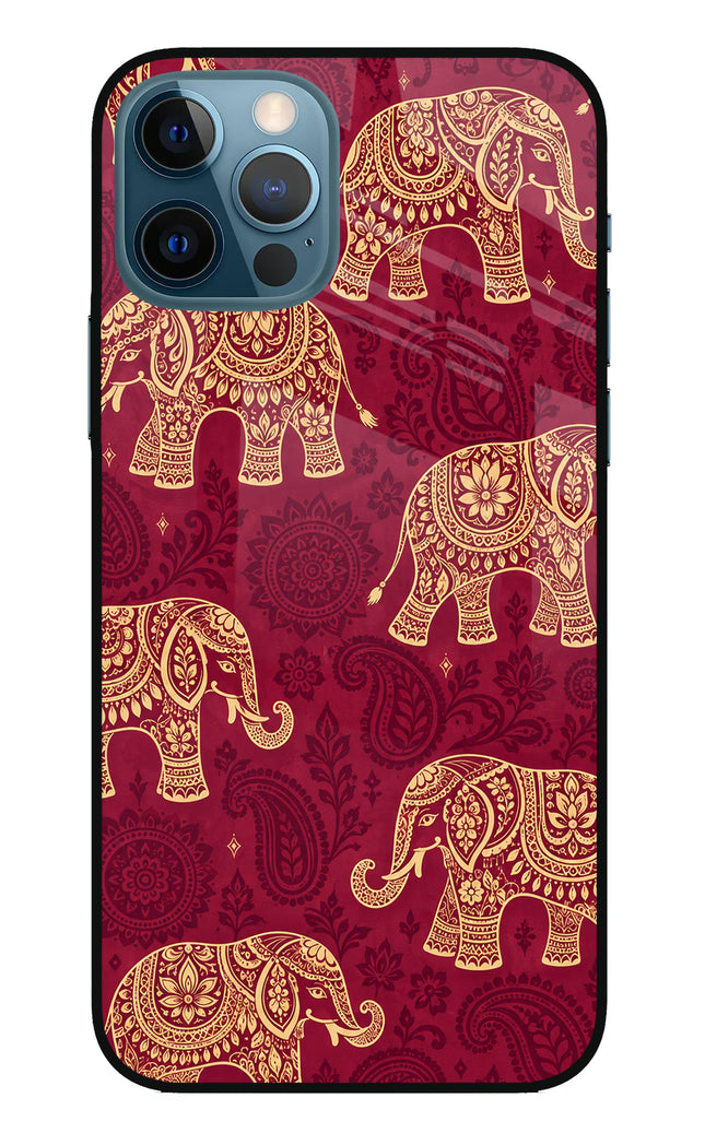 Maroon Elephant iPhone 12 Pro Glass Case