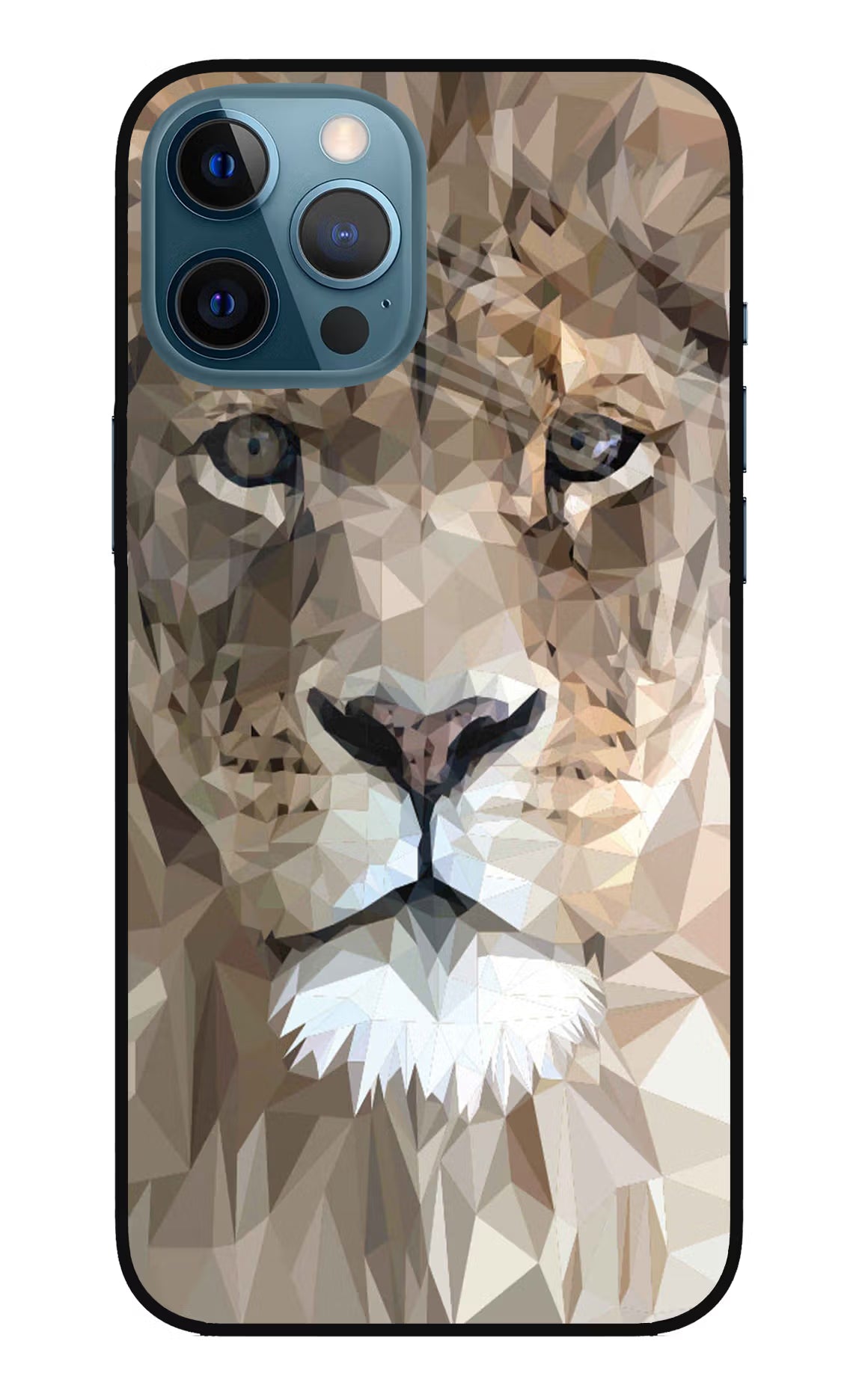 Lion Art iPhone 12 Pro Max Glass Case Back Cover by Casekaro