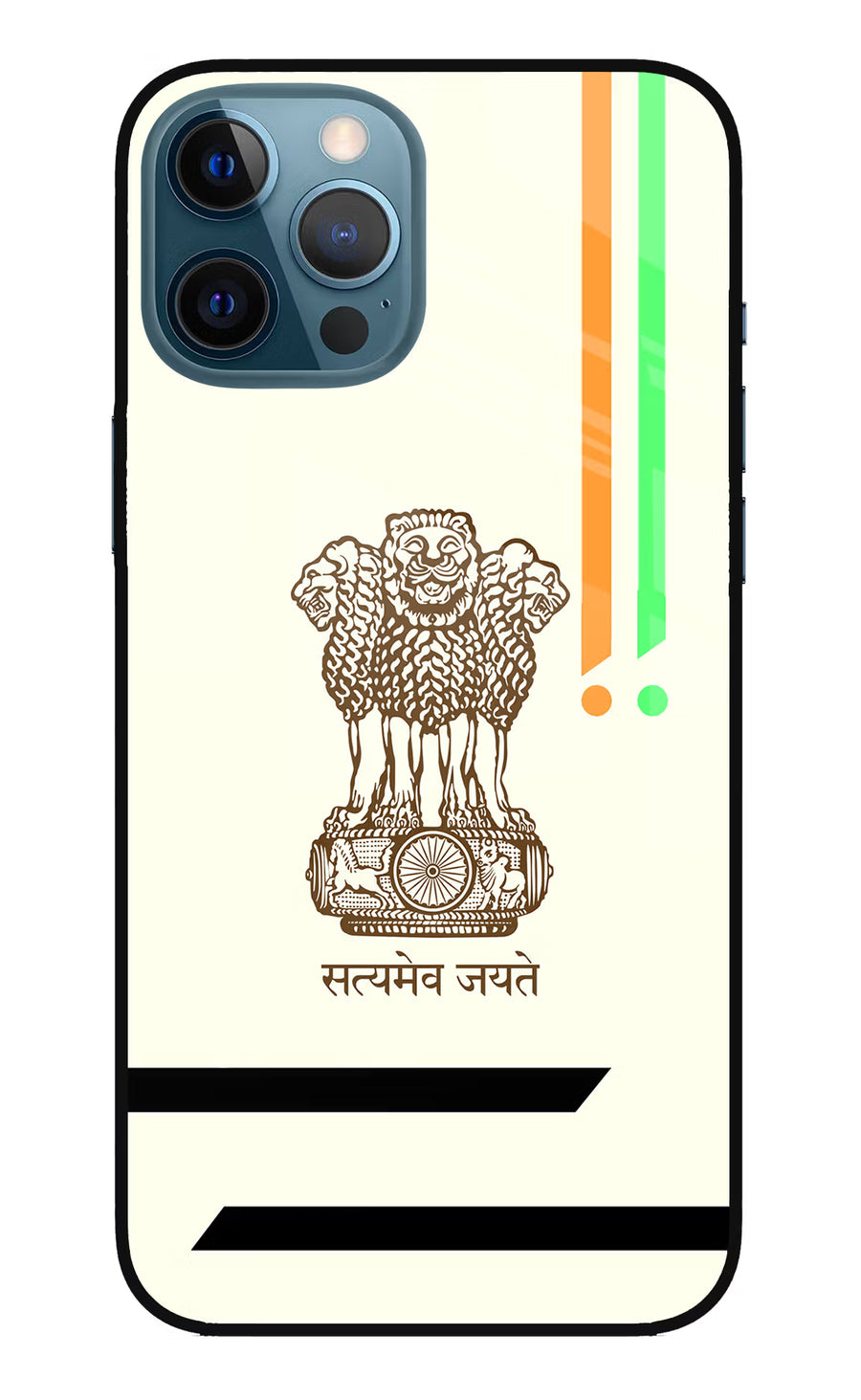 Satyamev Jayate Brown Logo iPhone 12 Pro Max Back Cover, Metal case