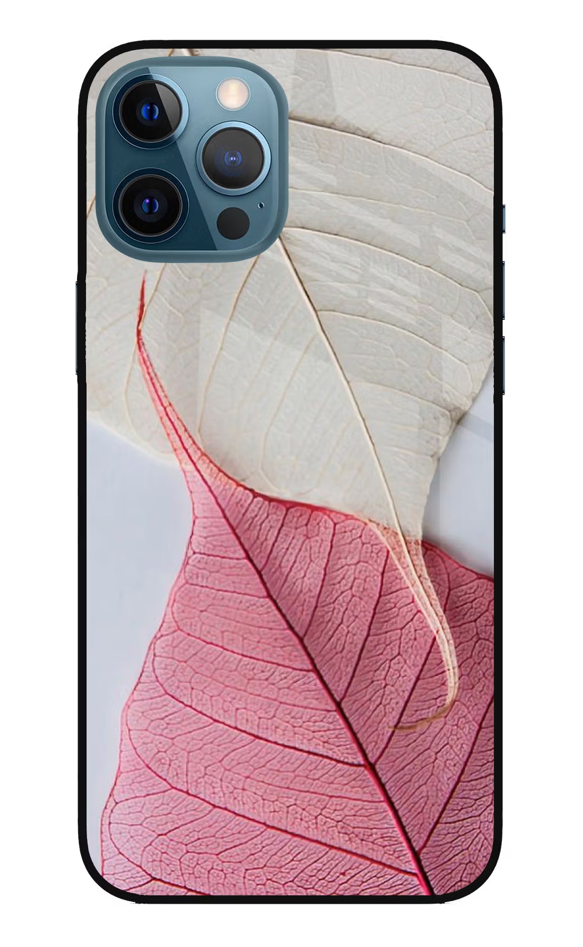 White Pink Leaf iPhone 12 Pro Max Glass Case Back Cover by Casekaro