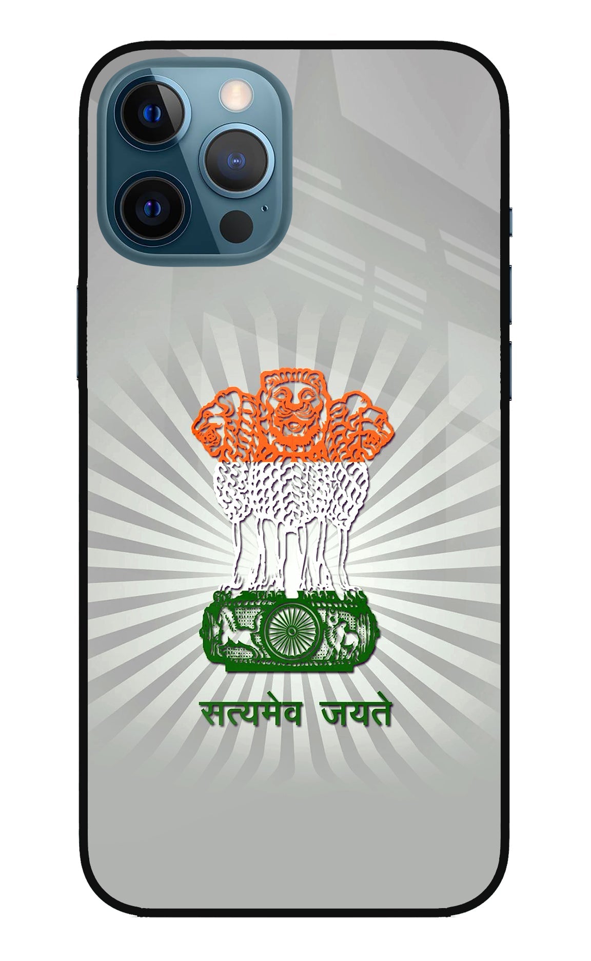 Satyamev Jayate Art iPhone 12 Pro Max Glass Case