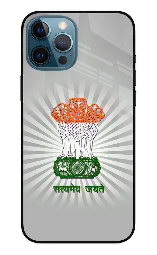 Satyamev Jayate Art iPhone 12 Pro Max Glass Case